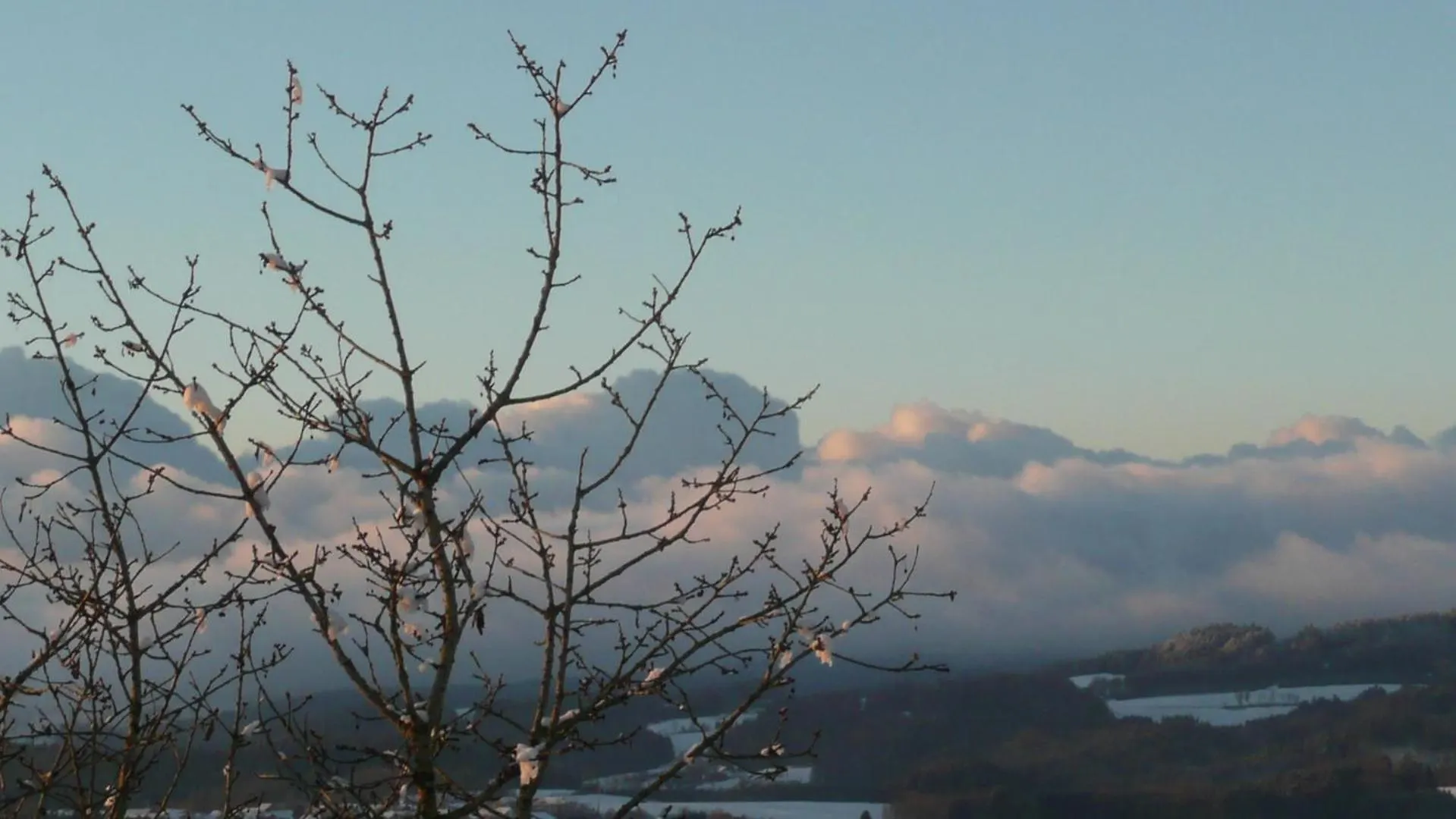 Ferienwohnungen Alpenblick Mit Garten -Panoramasauna- Kirchdorf im Wald Apartment